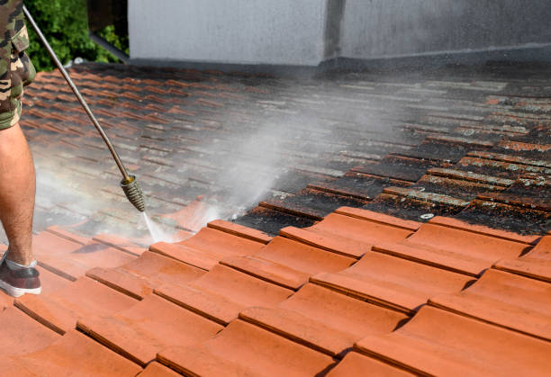 Best Pressure Washing Company Near Me  in Maple Grove, MN