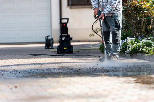 Best Sidewalk Pressure Washing  in Maple Grove, MN